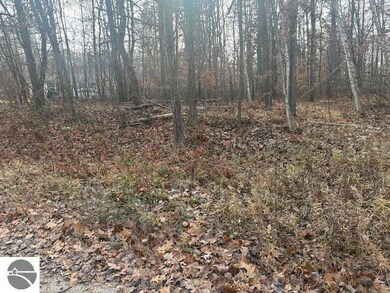 TBD W Shore Dr unit 122, Weidman, MI 48893 - photo 2