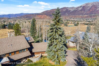 137 Primrose Path, Aspen, CO 81611 - photo 6