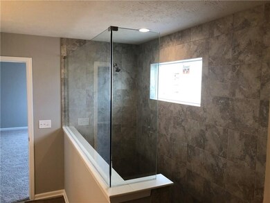 Owners Bath walk in shower