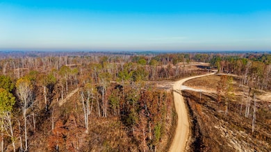 2 County Road 4251, New Site, MS 38859 - photo 5
