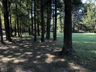 1281 County Road 114, Jonesboro, AR 72404 - photo 3