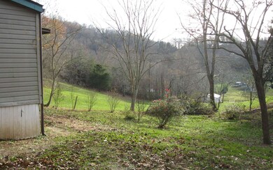 Additional View