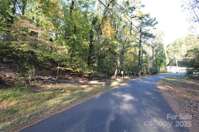 TBD Lake Head Rd, Norwood, NC 28128 - photo 2