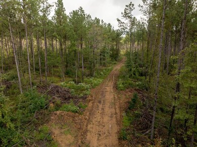 0 Pisgah Rd unit 1, Brandon, MS 39047 - photo 7