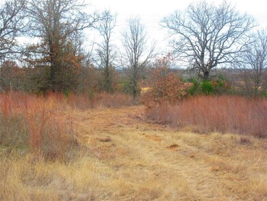 241 Perkins Rd, Poolville, TX 76487 - photo 4