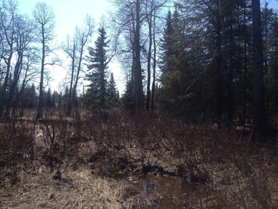 Slough at river