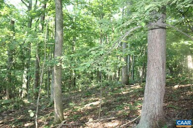 355 Crawfords Climb, Nellysford, VA 22958 - photo 5