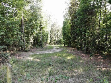 TBD D & G Ln, Whigham, GA 39892 - photo 5