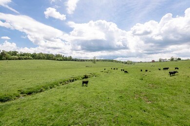 TBD 4 Miller Rd, Waynesboro, VA 22980 - photo 4