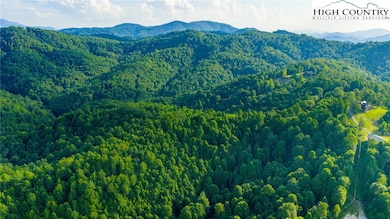 TBD-3 Big Laurel Rd, Creston, NC 28615 - photo 4