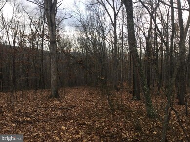 Unknown Owl Ln, Gore, VA 22637 - photo 2