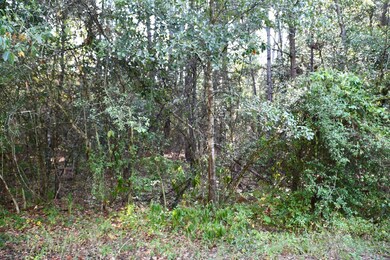 Lot 3 Cedar Ct, Plantersville, TX 77363 - photo 5