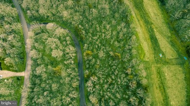 LOT 291 Merion Dr, Gordonsville, VA 22942 - photo 6