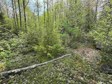 Lot 11 Tuscan Ridge Rd, Davis, WV 26260 - photo 3