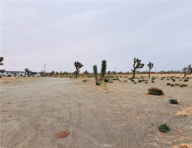 12452 Golden View Rd, Piñon Hills, CA 92372 - photo 6