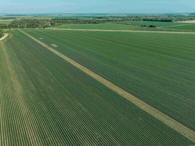 0000 Highway 8, Eudora, AR 71640 - photo 5