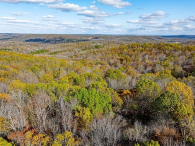 0 River Rd unit 21958353, Hardy, AR 72542 - photo 4