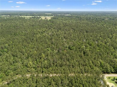 Parcel 1 7 01 Acres Bruhl Rd, Folsom, LA 70437 - photo 7