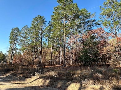 3054 Camp Josey Rd, Blythe, GA 30805 - photo 3