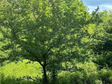 lot #2 Rowentown Rd, Wentworth, NH 03282 - photo 5