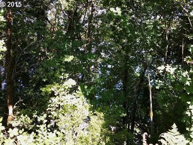 0 Two Lakes Ln unit 10 15115082, Triangle Lake, OR 97412 - photo 4