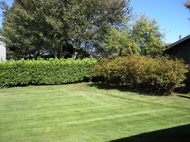 YARD 2ND VIEW