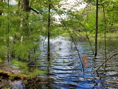 0 50th unit 20019251, Bitely, MI 49309 - photo 4