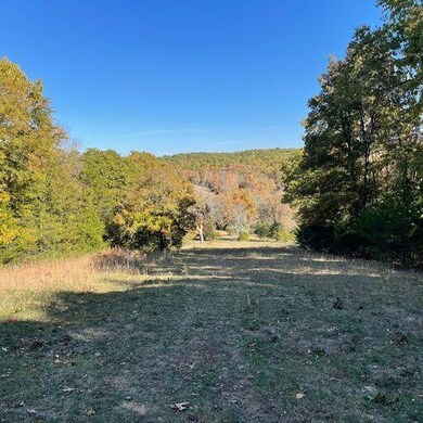 Tract A Farm Road 2080, Jenkins, MO 65605 - photo 7