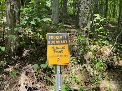 890 Panther Branch Rd, Hot Springs, NC 28743 - photo 6