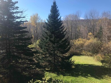 90 Captain Copeland Rd, East Dover, VT 05341 - photo 5