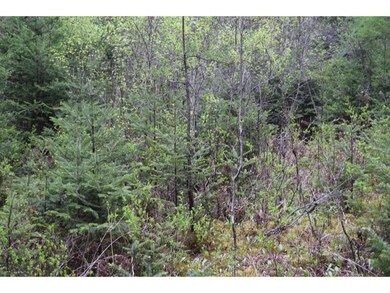 5 Abigails Cir, Jefferson, NH 03583 - photo 6