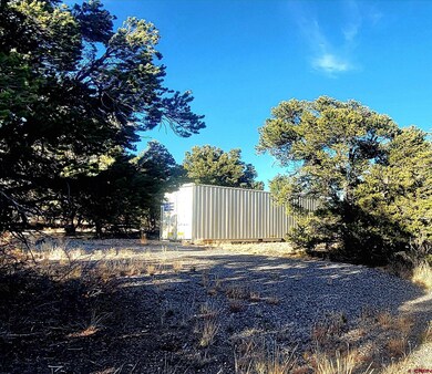 1094 & 1343 Valley View Rd, South Fork, CO 81154 - photo 7