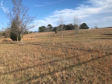 2367 Daugherty Ferry Rd, Sale Creek, TN 37373 - photo 3