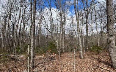 Additional View