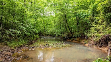 0 Shawmut Rd, Murfreesboro, AR 71958 - photo 3