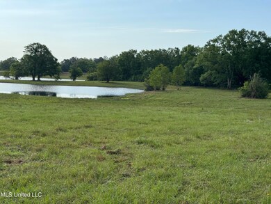 20118 Mississippi 603, Kiln, MS 39556 - photo 4