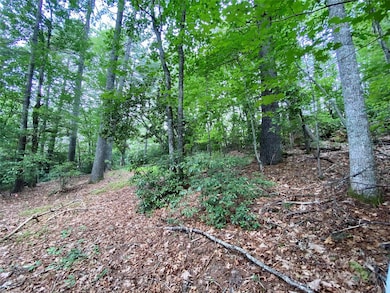 400 Emerald Hills Dr, Pisgah Forest, NC 28768 - photo 7