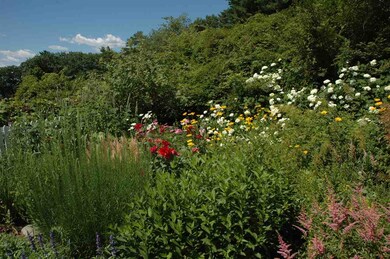 18 Tennis Ln, Moultonborough, NH 03254 - photo 5