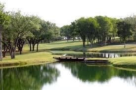 311 Sugartree Cir, Lipan, TX 76462 - photo 3