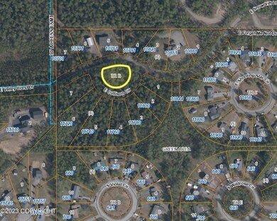 Aerial of area