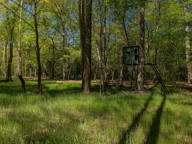 0 Mill Pine Rd, Liberty, SC 29657 - photo 6