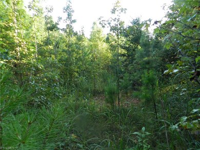 0 Old Cox Rd unit 806350, Asheboro, NC 27205 - photo 5