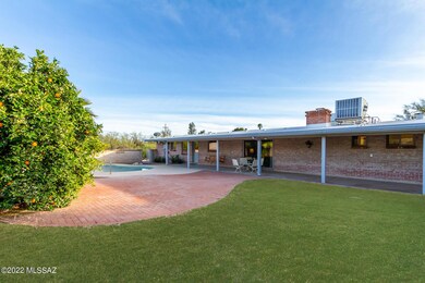 28 Los Arboles