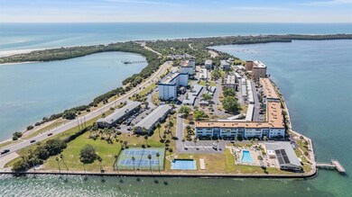 Royal Stewart Arms unit 205, Dunedin, FL 34698 - photo 6