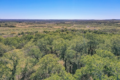 34.38 Acres Lester Rd, Jacksboro, TX 76458 - photo 3