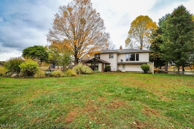 Rear view of house with a yard and a chimney
