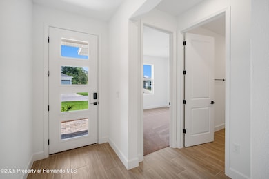 9196 Players Dr, Weeki Wachee, FL 34613 - photo 7