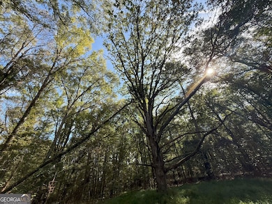 9894 Jefferson River Rd, Athens, GA 30607 - photo 5