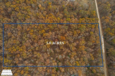 Lot 28 County Road 555 C, Bayou I Township, MO 65760 - photo 3