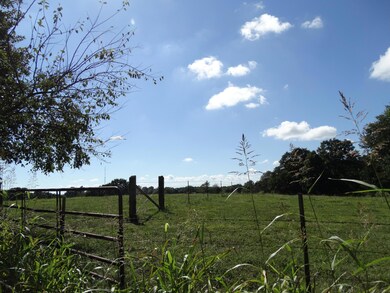 DSC03014